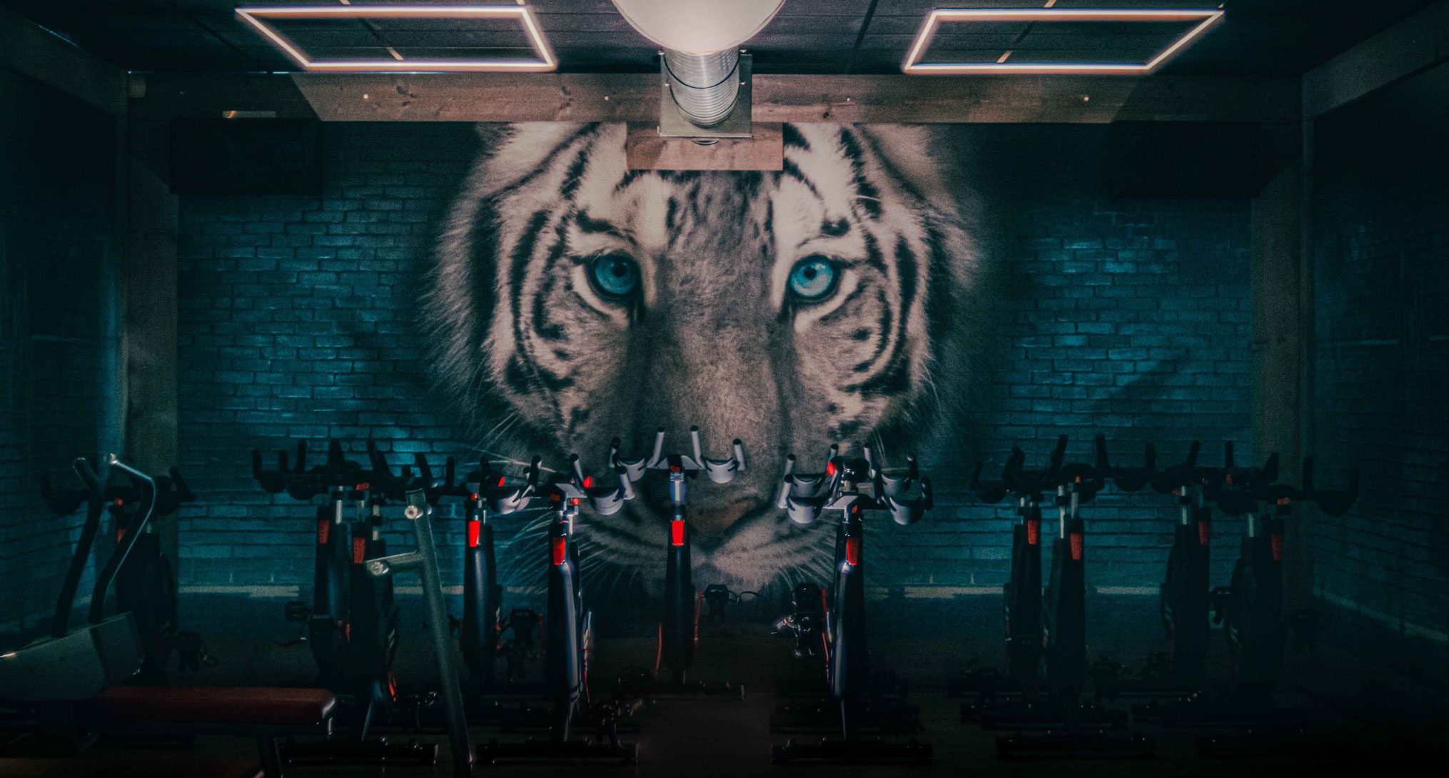 Vrouwen trainen in de ladies only ruimte van Fame Fitness in Gouda